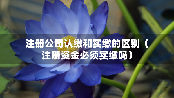 注冊公司認繳和實繳的區(qū)別（注冊資金必須實繳嗎）