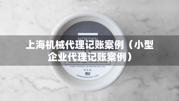 上海機(jī)械代理記賬案例（小型企業(yè)代理記賬案例）