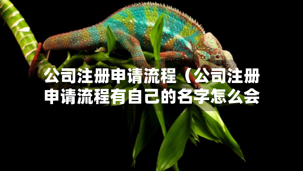 公司注冊申請流程（公司注冊申請流程有自己的名字怎么會怎么樣）