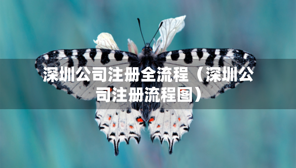 深圳公司注冊(cè)全流程（深圳公司注冊(cè)流程圖）
