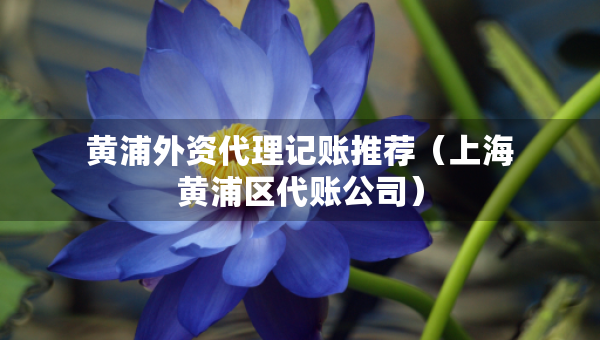 黃浦外資代理記賬推薦（上海黃浦區(qū)代賬公司）