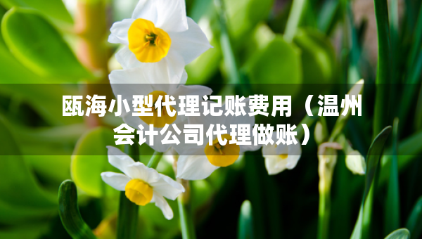 甌海小型代理記賬費用（溫州會計公司代理做賬）