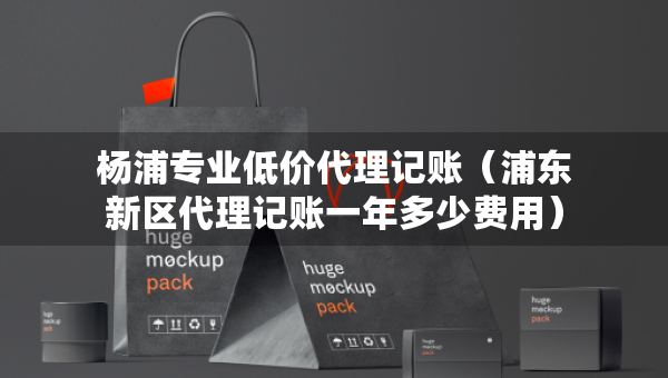 楊浦專業(yè)低價代理記賬（浦東新區(qū)代理記賬一年多少費用）