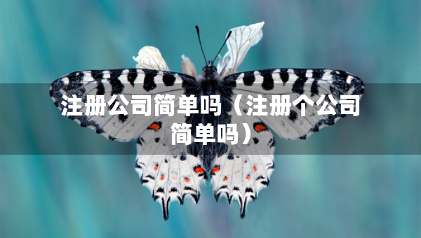 注冊(cè)公司簡(jiǎn)單嗎（注冊(cè)個(gè)公司簡(jiǎn)單嗎）