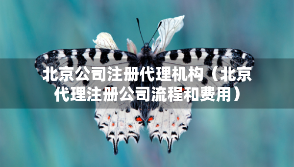 北京公司注冊代理機(jī)構(gòu)（北京代理注冊公司流程和費用）