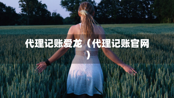 代理記賬愛龍（代理記賬官網(wǎng)）