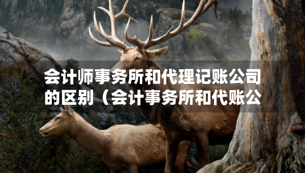 會計師事務(wù)所和代理記賬公司的區(qū)別（會計事務(wù)所和代賬公司有什么區(qū)別）