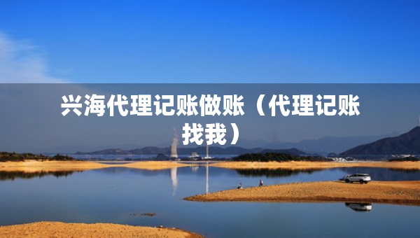 興海代理記賬做賬（代理記賬找我）