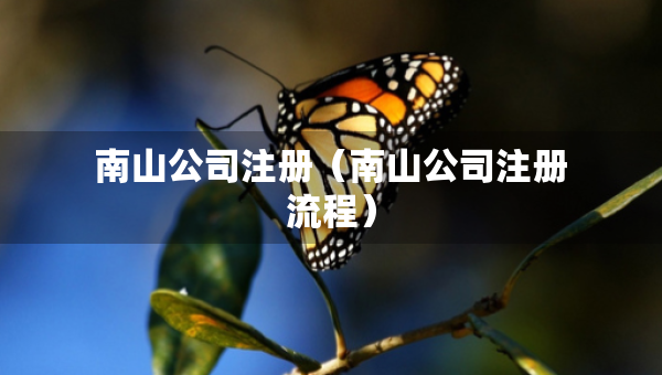 南山公司注冊（南山公司注冊流程）