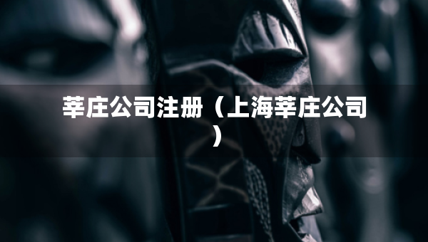 莘莊公司注冊（上海莘莊公司）
