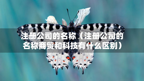 注冊公司的名稱（注冊公司的名稱商貿(mào)和科技有什么區(qū)別）