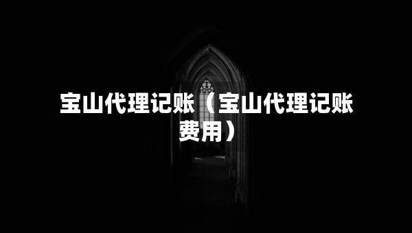 寶山代理記賬（寶山代理記賬費(fèi)用）