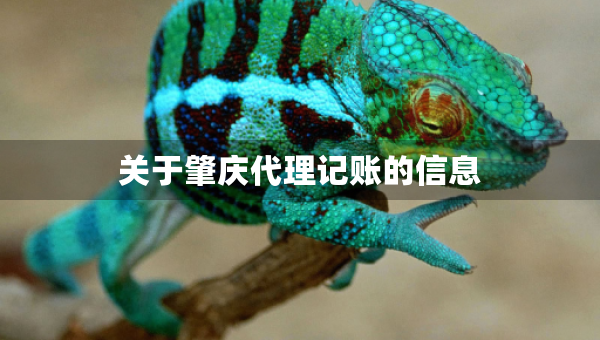 關(guān)于肇慶代理記賬的信息
