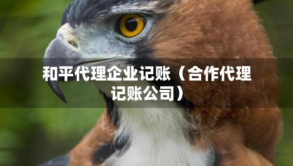 和平代理企業(yè)記賬（合作代理記賬公司）