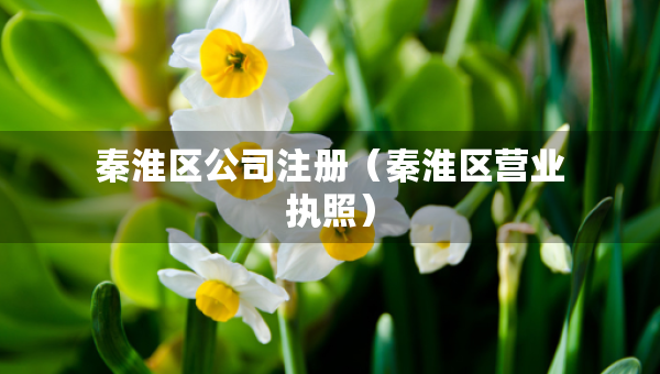 秦淮區(qū)公司注冊(cè)（秦淮區(qū)營(yíng)業(yè)執(zhí)照）