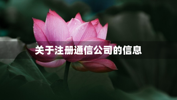 關(guān)于注冊(cè)通信公司的信息