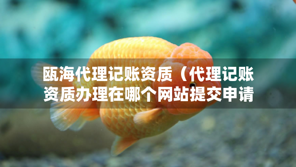 甌海代理記賬資質(zhì)（代理記賬資質(zhì)辦理在哪個(gè)網(wǎng)站提交申請）