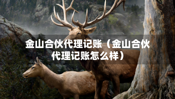 金山合伙代理記賬（金山合伙代理記賬怎么樣）