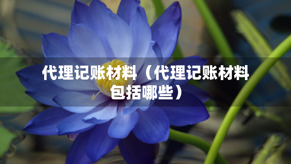 代理記賬材料（代理記賬材料包括哪些）