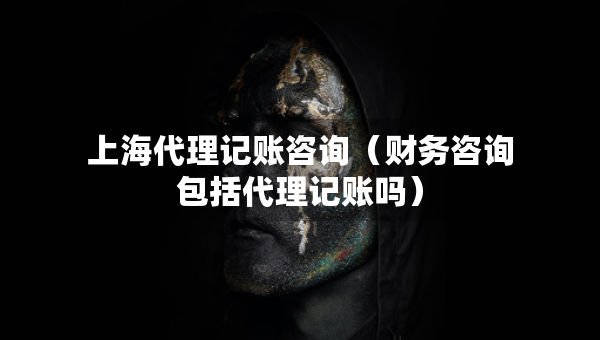 上海代理記賬咨詢（財(cái)務(wù)咨詢包括代理記賬嗎）