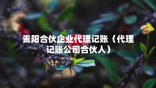 貴陽(yáng)合伙企業(yè)代理記賬（代理記賬公司合伙人）