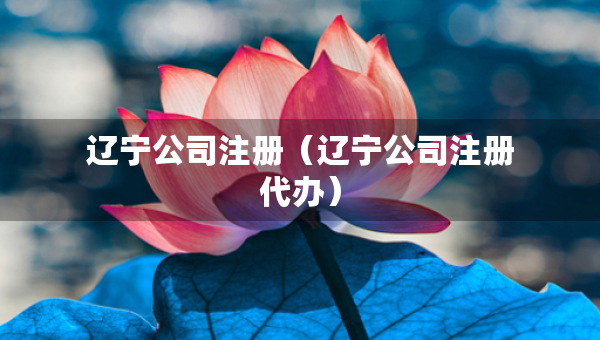 遼寧公司注冊（遼寧公司注冊代辦）