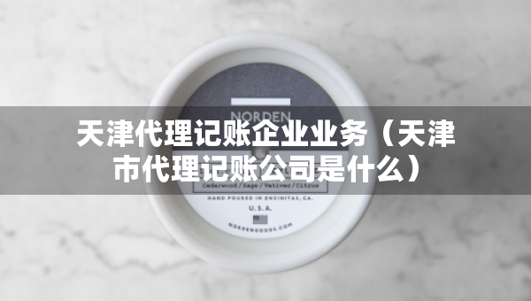 天津代理記賬企業(yè)業(yè)務(wù)（天津市代理記賬公司是什么）