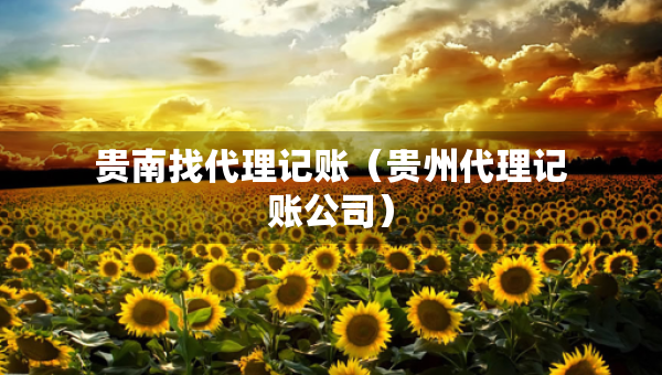 貴南找代理記賬（貴州代理記賬公司）