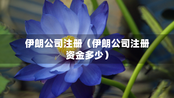伊朗公司注冊(cè)（伊朗公司注冊(cè)資金多少）