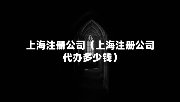 上海注冊公司（上海注冊公司代辦多少錢）