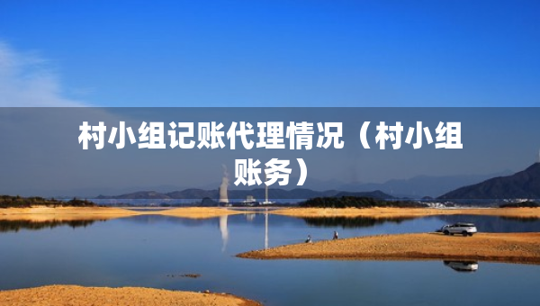 村小組記賬代理情況（村小組賬務(wù)）
