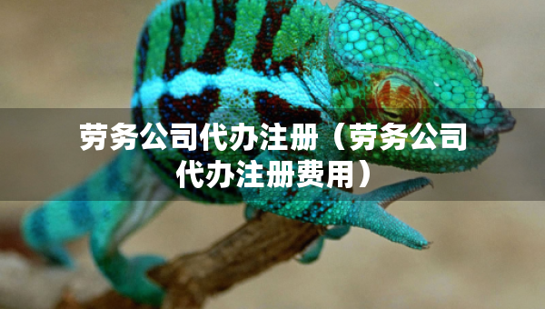 勞務(wù)公司代辦注冊（勞務(wù)公司代辦注冊費(fèi)用）