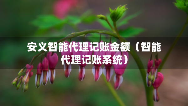 安義智能代理記賬金額（智能代理記賬系統(tǒng)）
