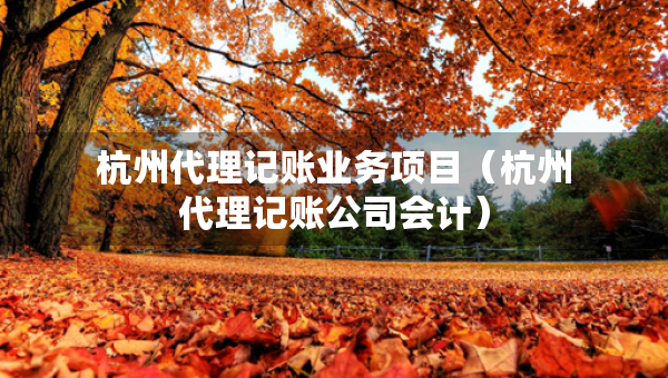 杭州代理記賬業(yè)務(wù)項(xiàng)目（杭州代理記賬公司會(huì)計(jì)）