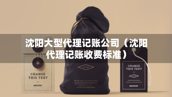 沈陽大型代理記賬公司（沈陽代理記賬收費標準）