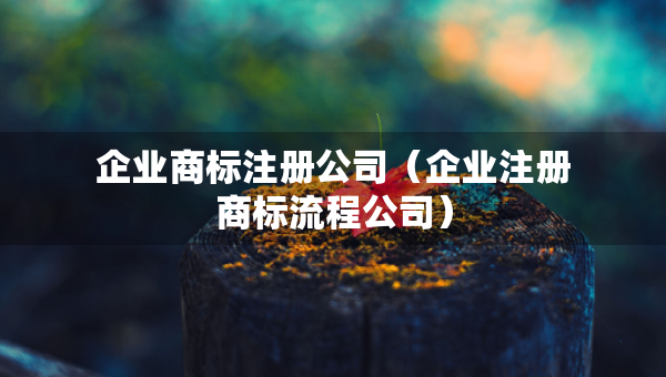 企業(yè)商標(biāo)注冊公司（企業(yè)注冊商標(biāo)流程公司）