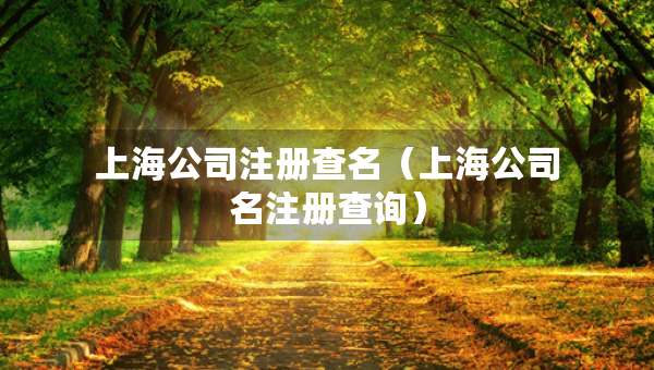 上海公司注冊(cè)查名（上海公司名注冊(cè)查詢）