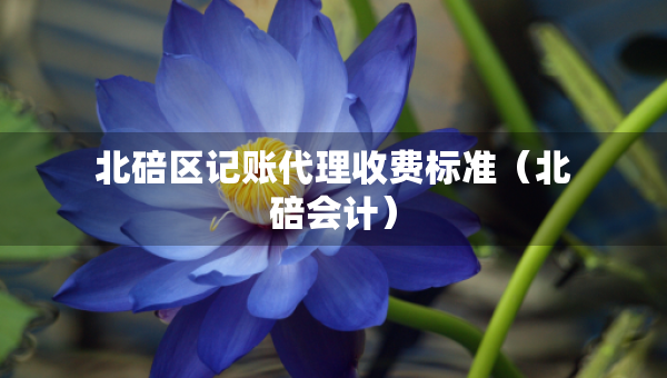 北碚區(qū)記賬代理收費(fèi)標(biāo)準(zhǔn)（北碚會(huì)計(jì)）