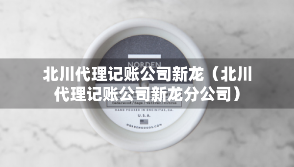 北川代理記賬公司新龍（北川代理記賬公司新龍分公司）