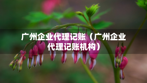 廣州企業(yè)代理記賬（廣州企業(yè)代理記賬機(jī)構(gòu)）
