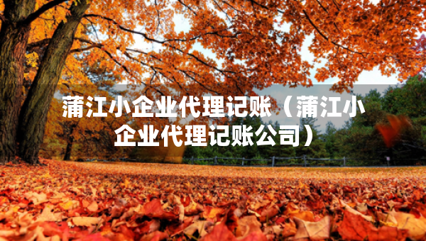 蒲江小企業(yè)代理記賬（蒲江小企業(yè)代理記賬公司）