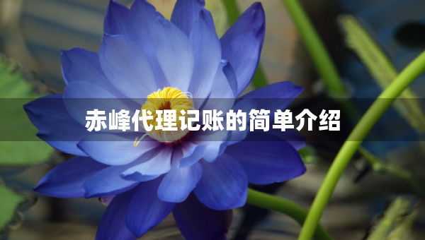 赤峰代理記賬的簡單介紹