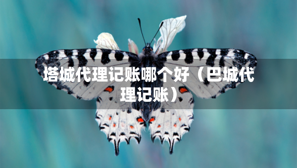塔城代理記賬哪個(gè)好（巴城代理記賬）