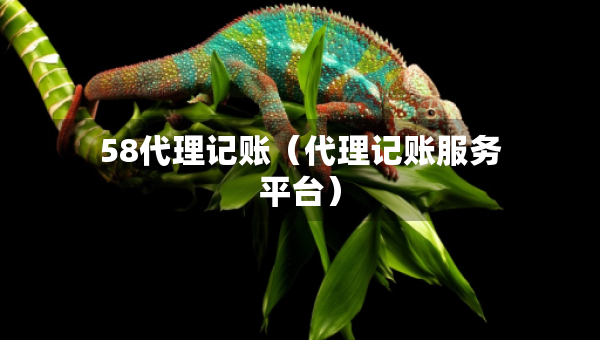 58代理記賬（代理記賬服務(wù)平臺）