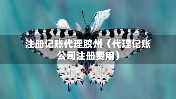 注冊(cè)記賬代理膠州（代理記賬公司注冊(cè)費(fèi)用）