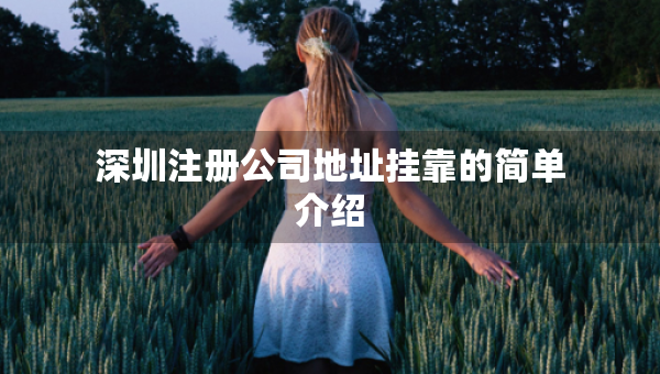 深圳注冊公司地址掛靠的簡單介紹