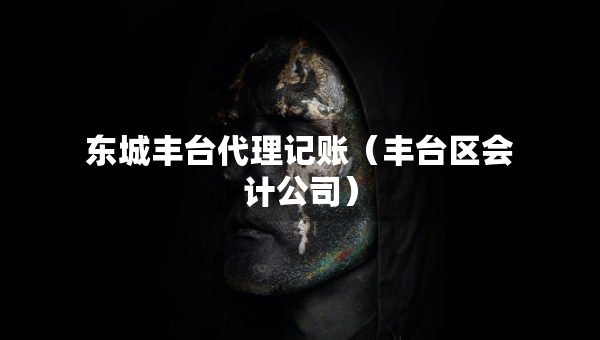 東城豐臺代理記賬（豐臺區(qū)會計公司）