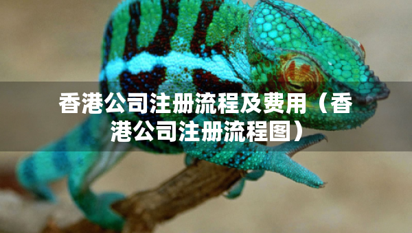香港公司注冊流程及費用（香港公司注冊流程圖）