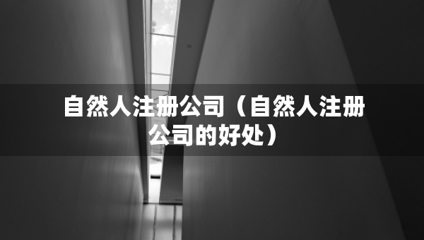 自然人注冊(cè)公司（自然人注冊(cè)公司的好處）