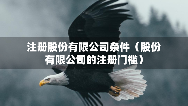 注冊股份有限公司條件（股份有限公司的注冊門檻）